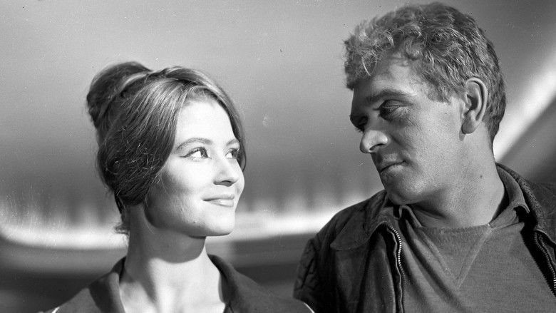 кадр из фильма Лунатики