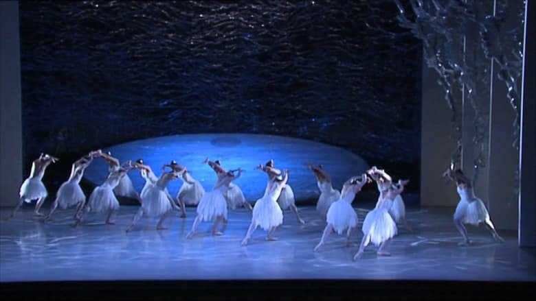 кадр из фильма Graeme Murphy's Swan Lake