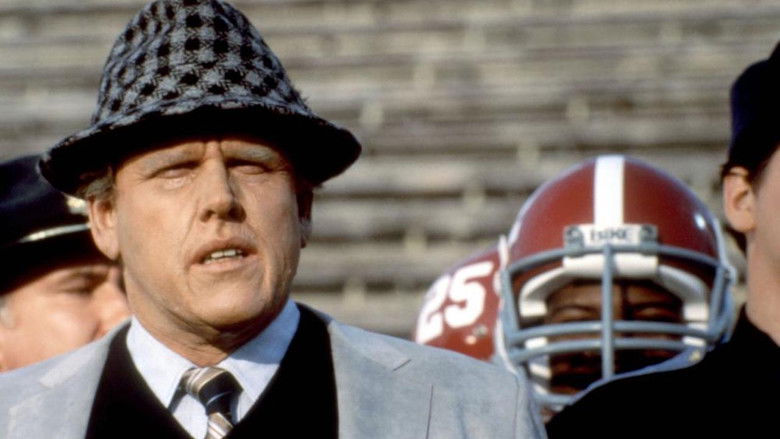 кадр из фильма The Bear