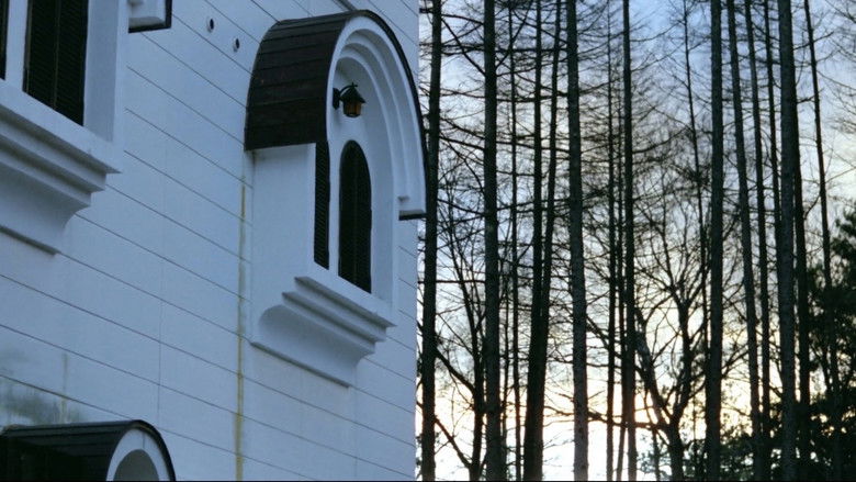 кадр из фильма 女豹