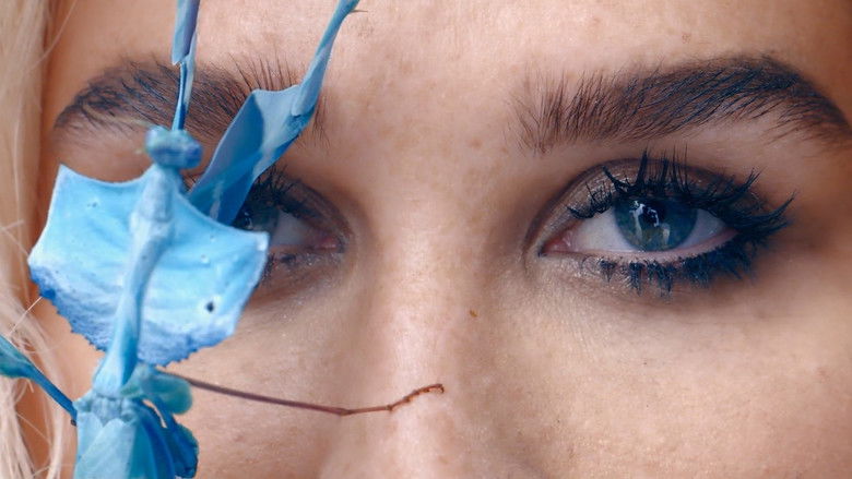 кадр из фильма Kesha: Rainbow - The Film