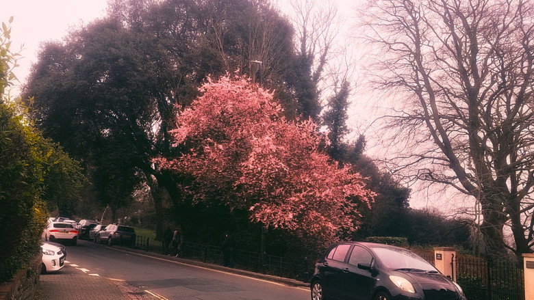 кадр из фильма Blue Sound