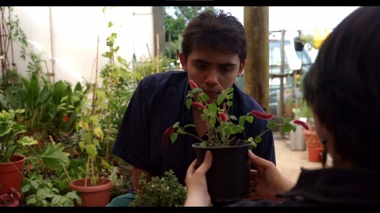 кадр из фильма Cacho 'e Camahueto