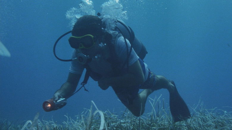 кадр из фильма Sangue negli abissi