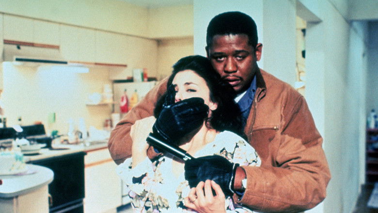 кадр из фильма Дневник наемного убийцы