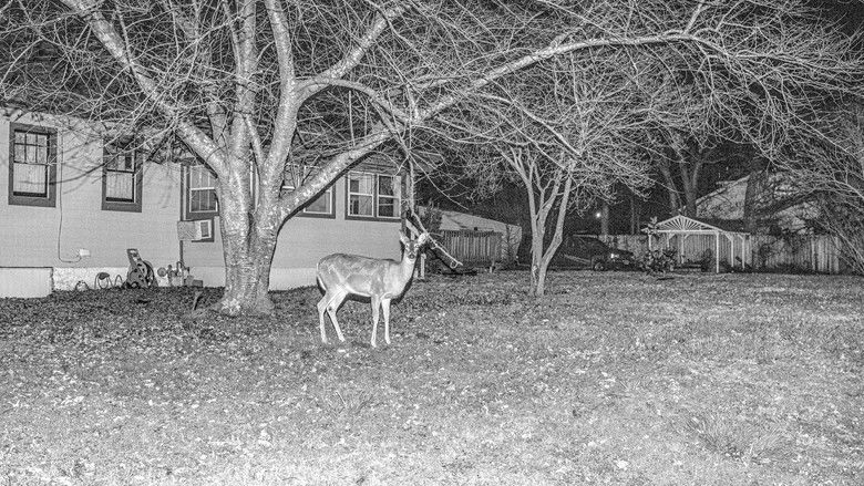 кадр из фильма i can still taste her