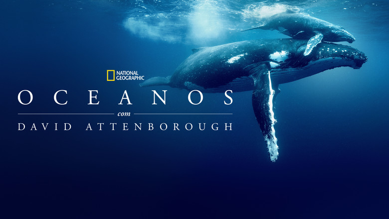 кадр из фильма Океан с Дэвидом Аттенборо