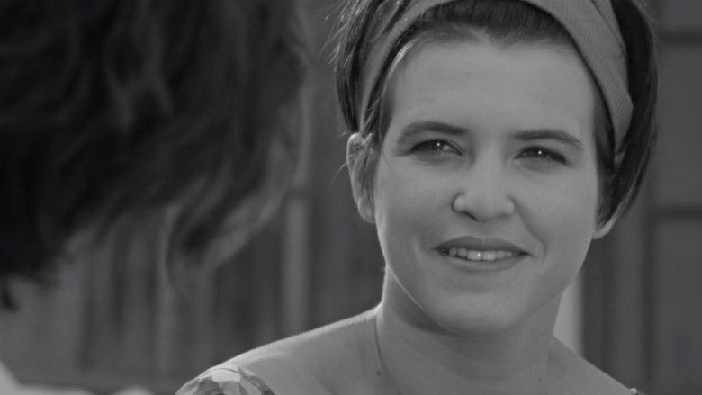 кадр из фильма סרט קצר