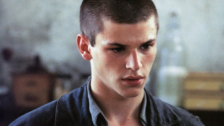 кадр из фильма Заблудившиеся