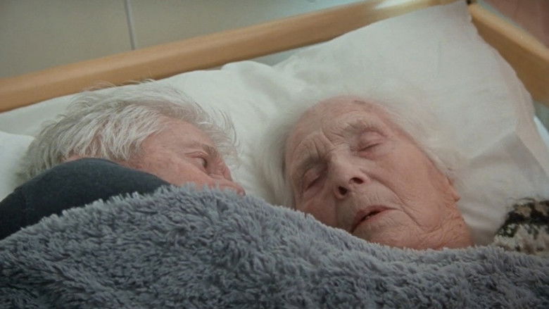 кадр из фильма Jörðin undir fótum okkar