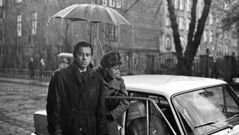 кадр из фильма Złote koło