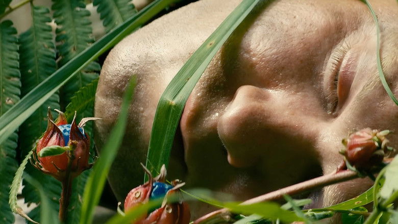 кадр из фильма Джунгли