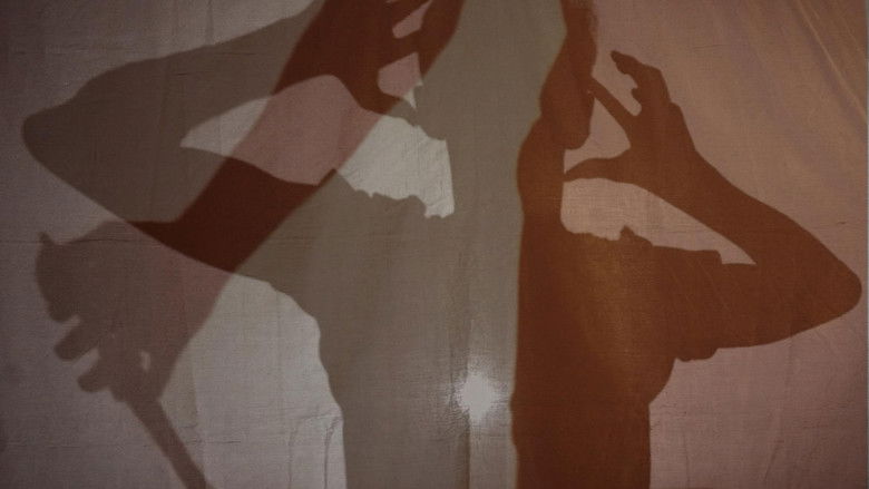 кадр из фильма Echo Sonata