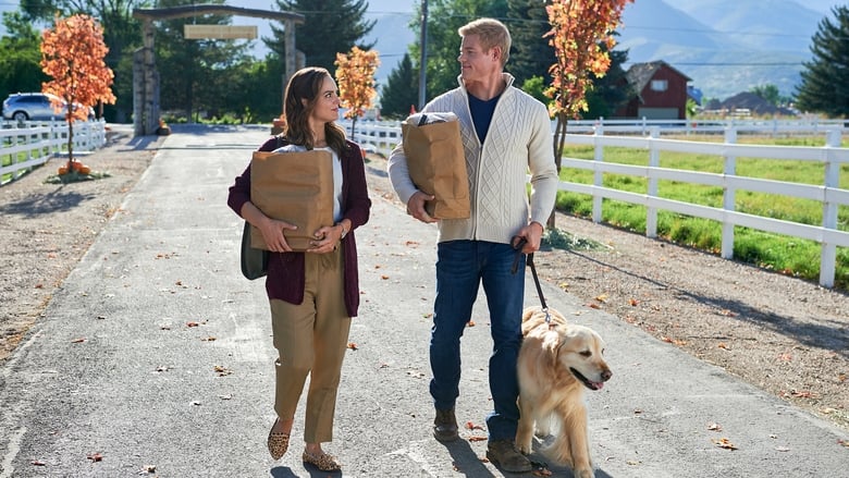 кадр из фильма Любовь, осень и порядок