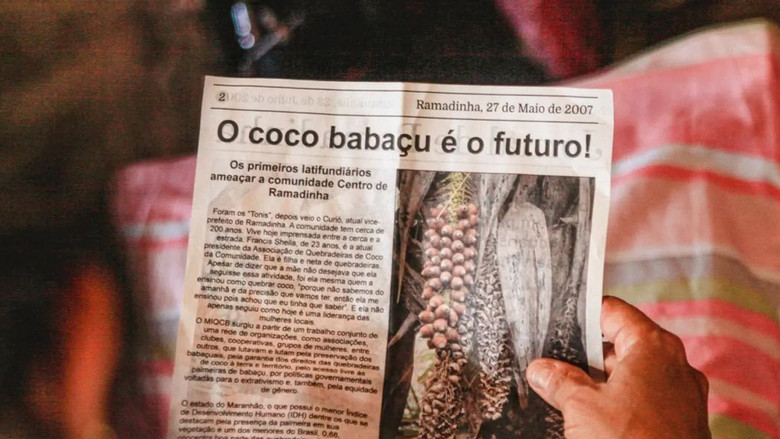 кадр из фильма Babaçu Love