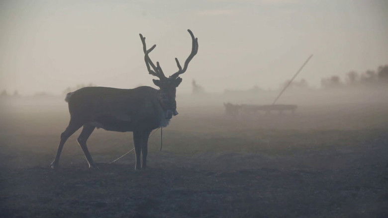 кадр из фильма Озеро