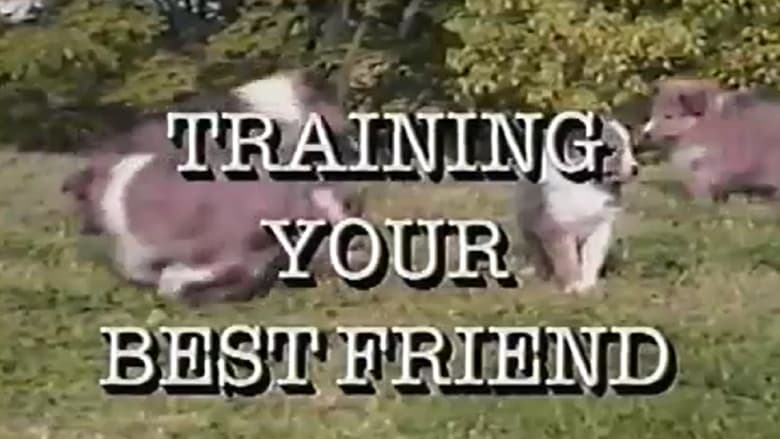 Training Your Best Friend