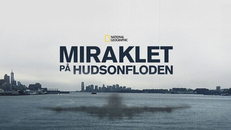 кадр из фильма Miracle Landing on the Hudson