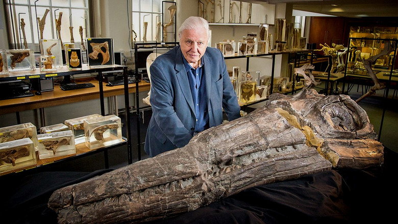 кадр из фильма Attenborough and the Sea Dragon
