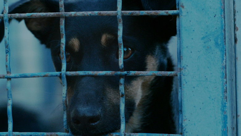 кадр из фильма Призори из живота џукца