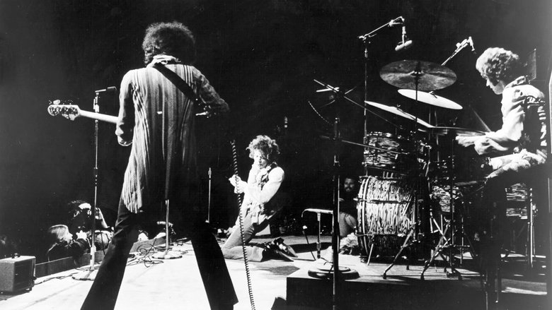 кадр из фильма Monterey Pop