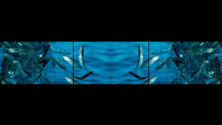 кадр из фильма GO FISH