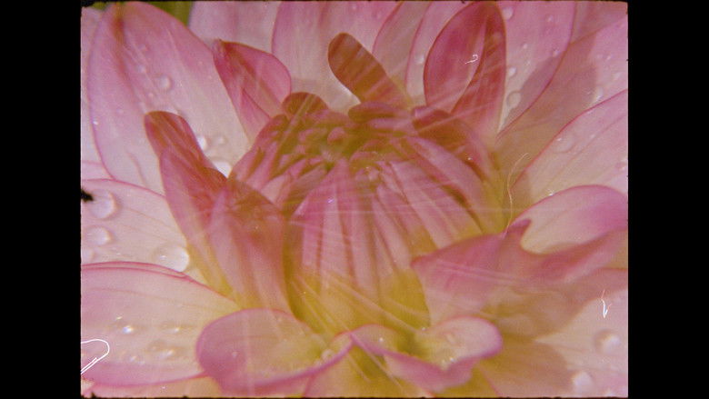 кадр из фильма Ahora y en la hora de nuestra muerte