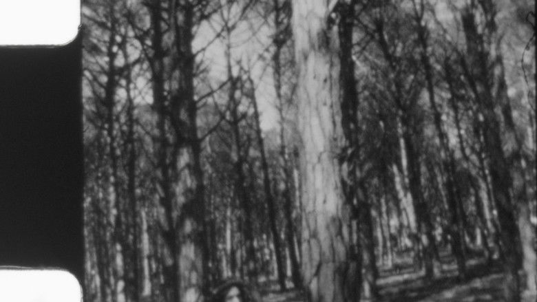 кадр из фильма Portrait of Eve