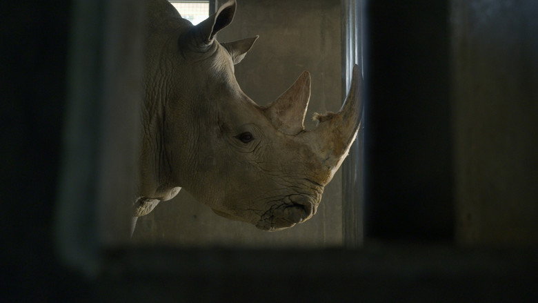 кадр из фильма שלום