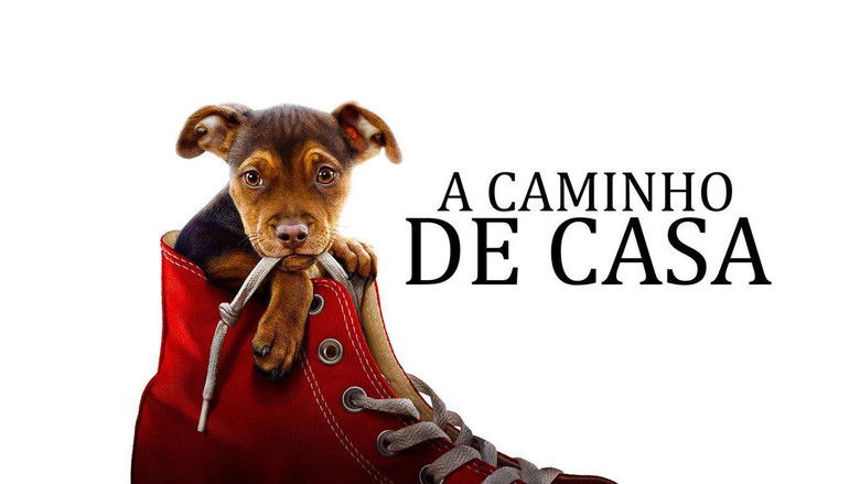 кадр из фильма Путь домой