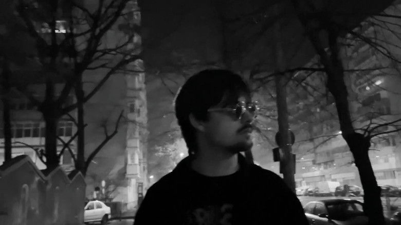 кадр из фильма Soneriada 2: Revenge of the Flomberts