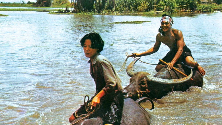 кадр из фильма แผลเก่า