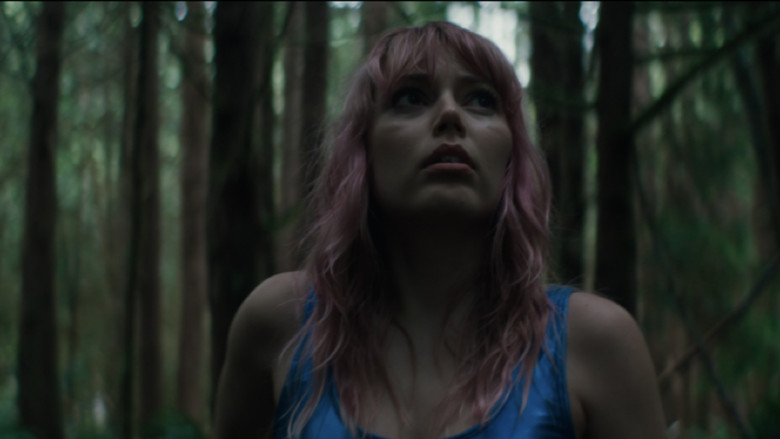 кадр из фильма The Swallow