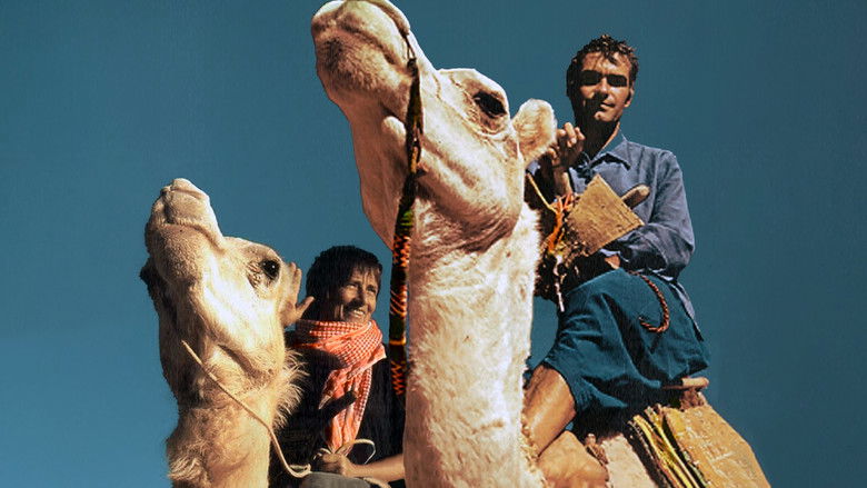 кадр из фильма Rendez-Vous Nomade, Le Chemin d'Odette Et Jean-Louis Bernezat