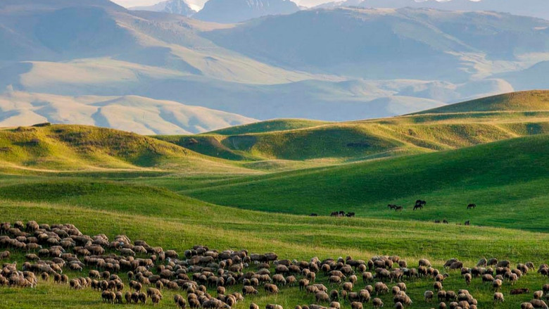 кадр из фильма Kasachstan: Sterne, Steppe, Stutenmilch