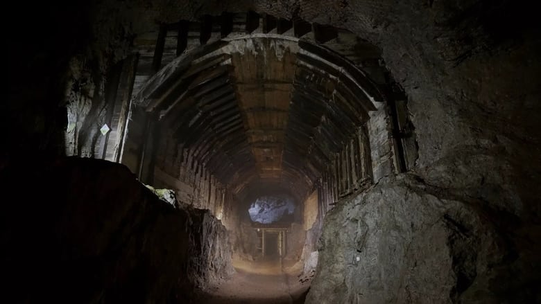 кадр из фильма The Lost Camps of the Third Reich