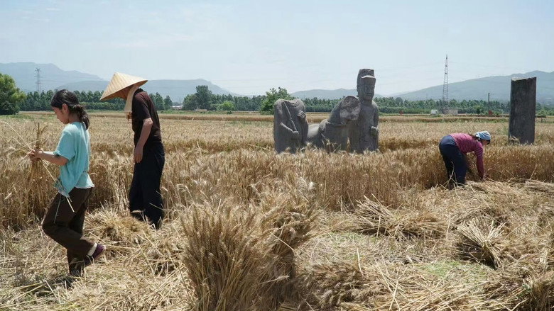 кадр из фильма 你的眼睛比太阳明亮