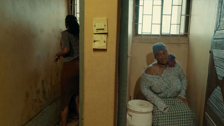 кадр из фильма Kiitan's Transit