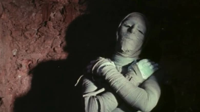 кадр из фильма Секрет мумии