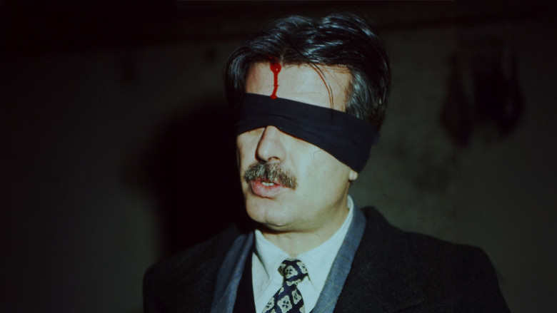 кадр из фильма Karartma Geceleri