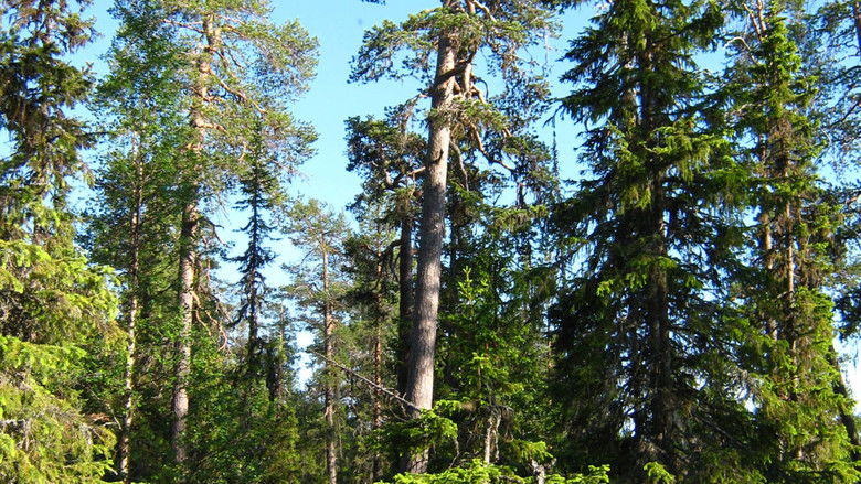 кадр из фильма Skolstrejkaren Martins Tips På Halloween