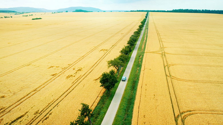 кадр из фильма Гуд бай, Берлин!