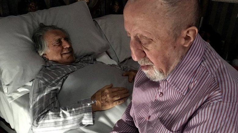 кадр из фильма Chi salverà le rose?