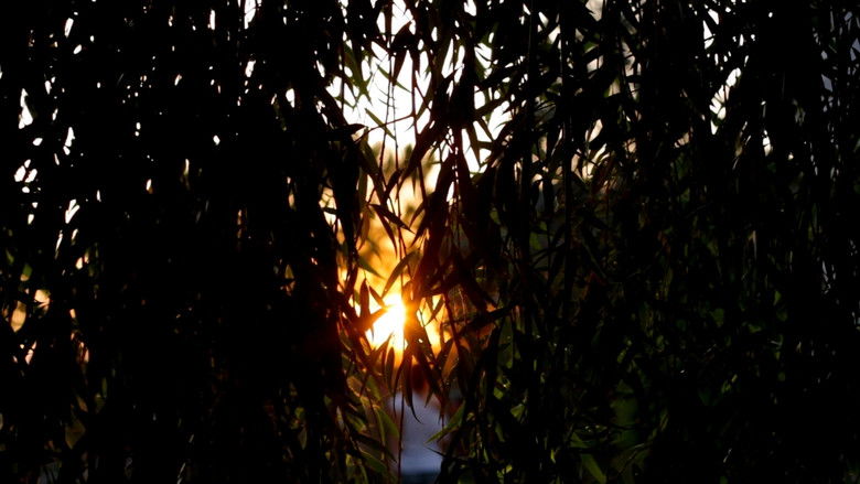 кадр из фильма ¿Nos hablan los muertos?