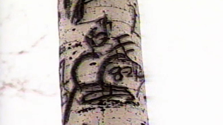 кадр из фильма d/stabilize/d