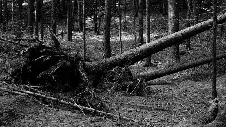 кадр из фильма Non lasciarmi