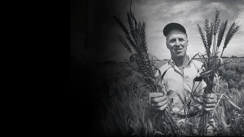 кадр из фильма The Man Who Tried to Feed the World