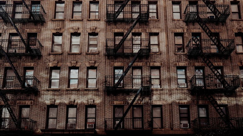 кадр из фильма Great Photo, Lovely Life