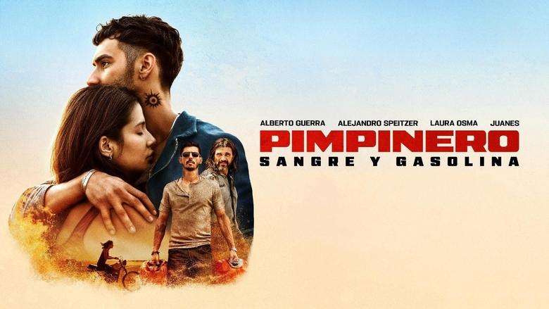 кадр из фильма Пимпинеро: Кровь и бензин
