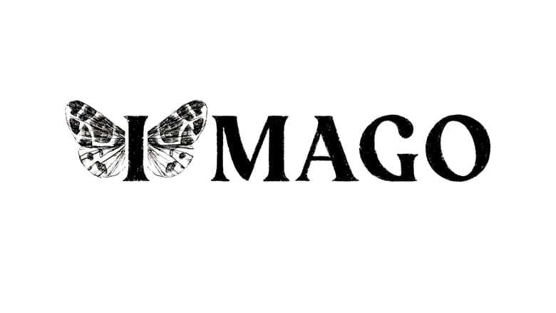 кадр из фильма IMAGO